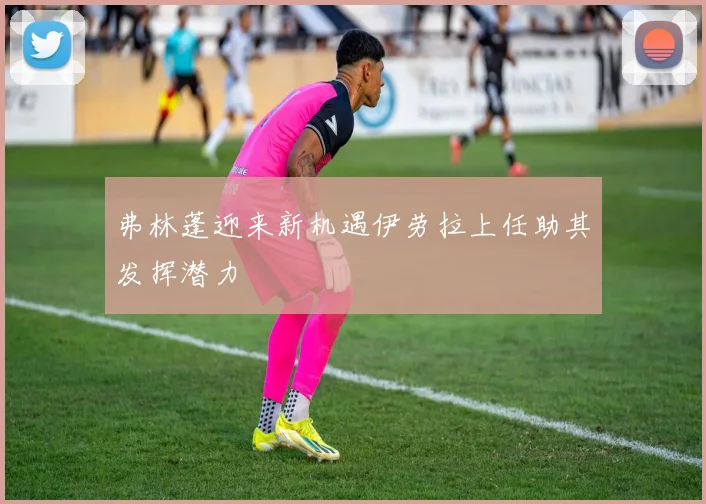 弗林蓬迎来新机遇伊劳拉上任助其发挥潜力